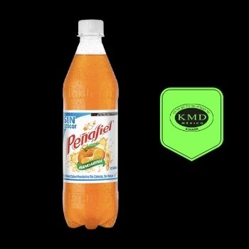 Peñafiel mandarina light 600 ml-7501073839762