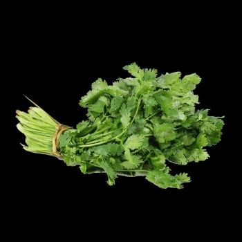 Cilantro precio por pieza-TVF10043